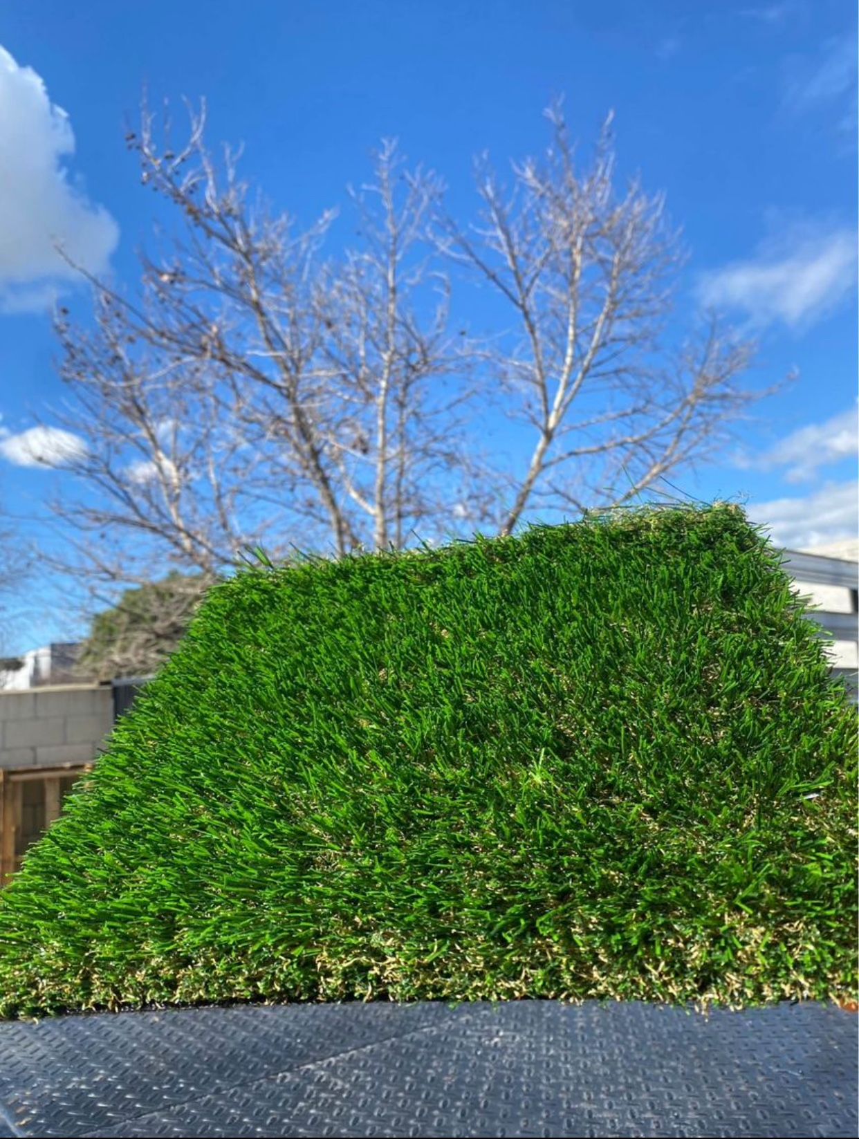 Turf/Artificial Grass