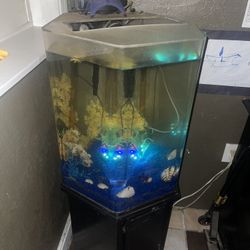 Hexagon Fish Tank With  Stand 