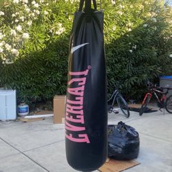 Everlast Heavy Weight Punching Bag