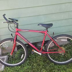 Bicicleta