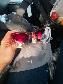 Sunglasses ann taylor