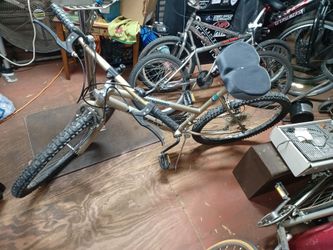 Murray mountain bike