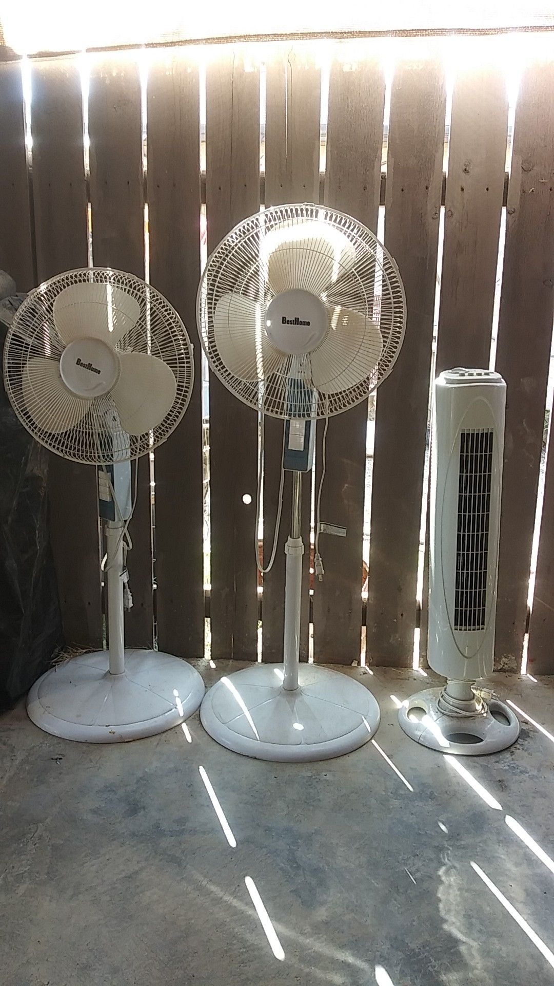 Los 3 $50