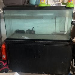 Fish Tank