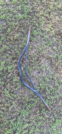 Mr Tick v bars