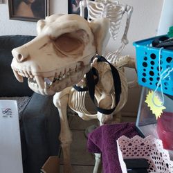 Halloween decoration.
