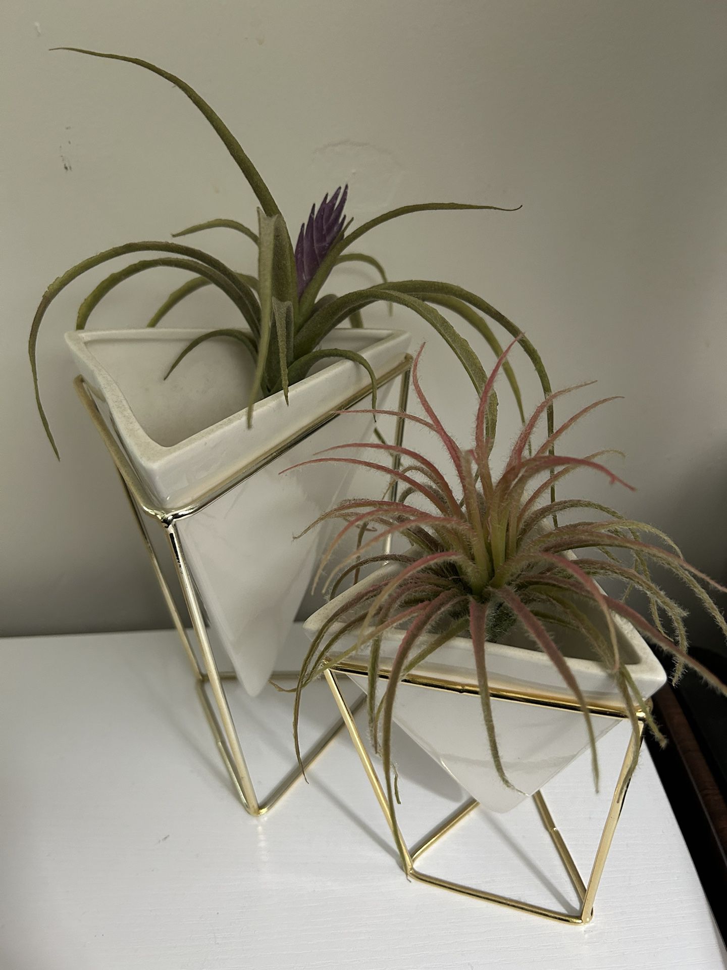 Matching Vases With Fake Air-plants