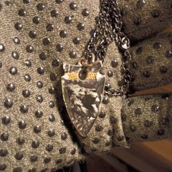 Arrowhead pendant with a lion on it on black chain in perfect condition