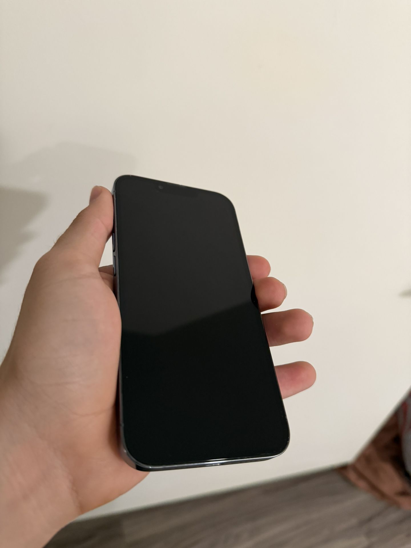 iPhone 13 Pro