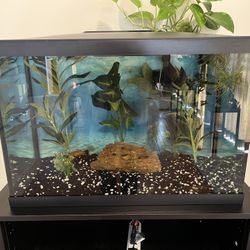 $150 OBO: 20 gal Aquarium & fish
