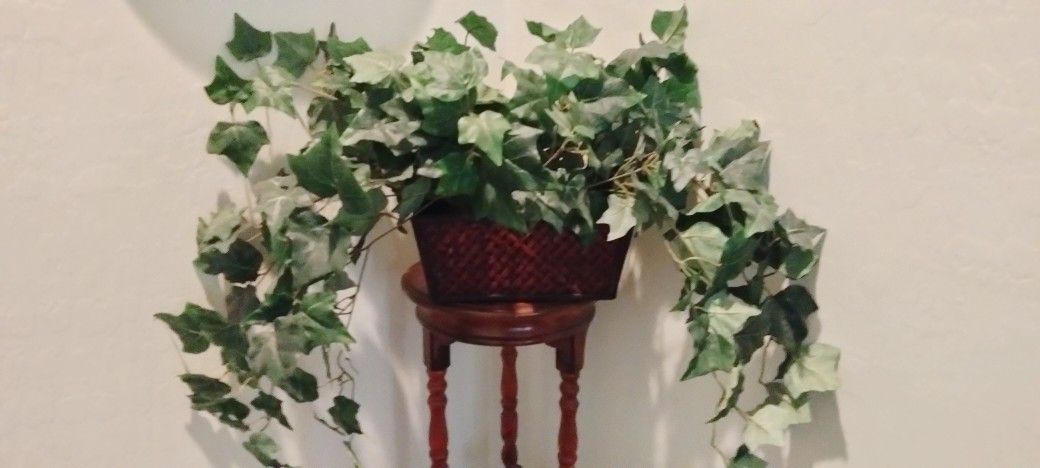 Artificial Green Plants In Baskets $60 A Piece Perfect