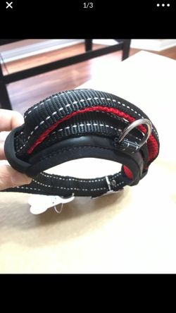 Dog collar medium