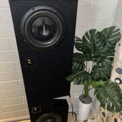 Subs And Box 