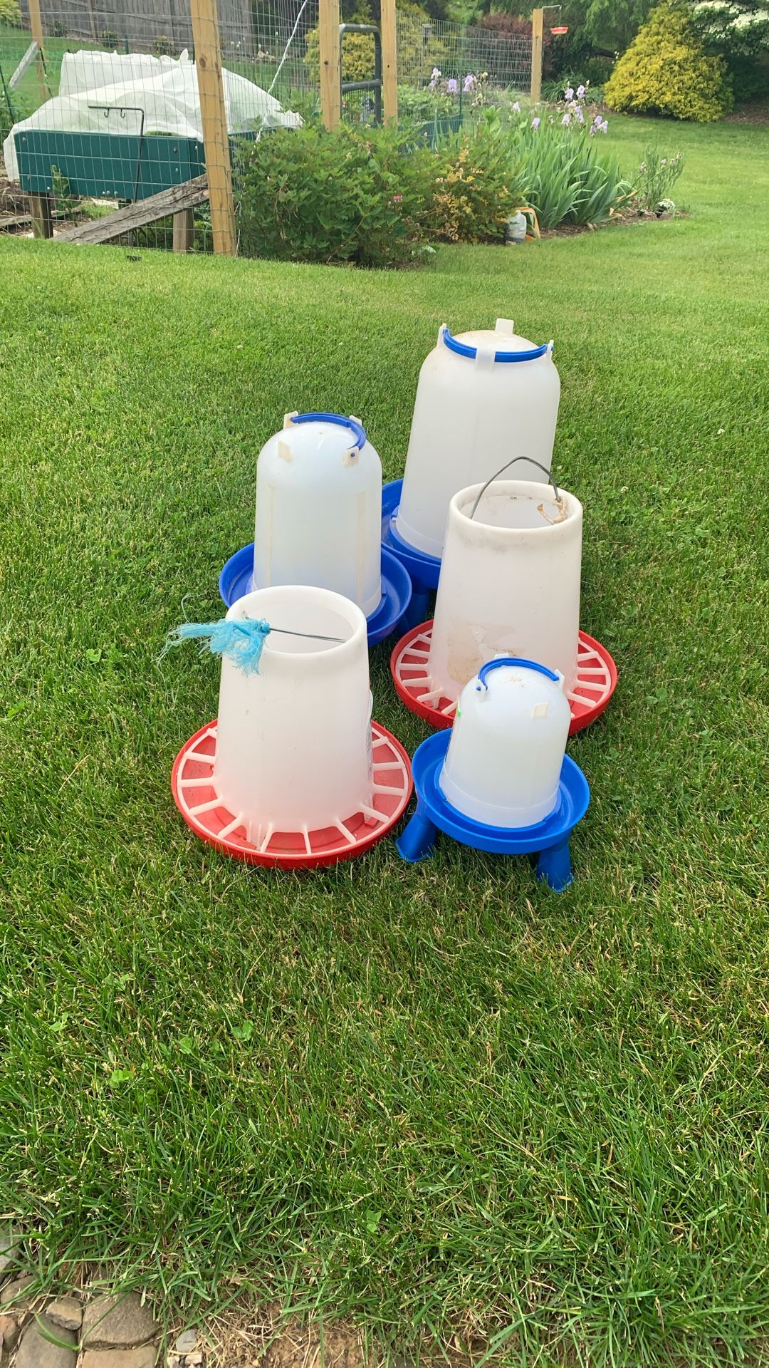 Feeders And Waterers