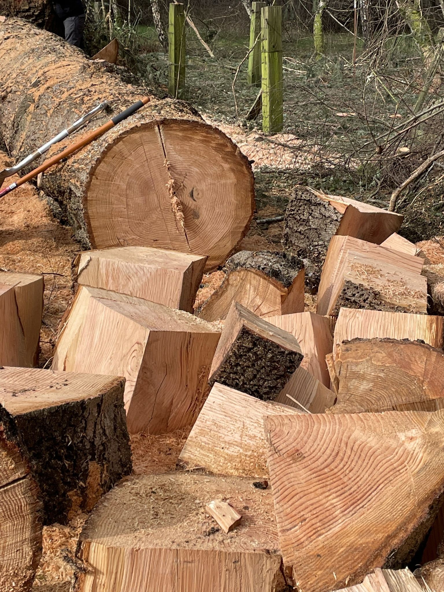 Fir Firewood For Sale