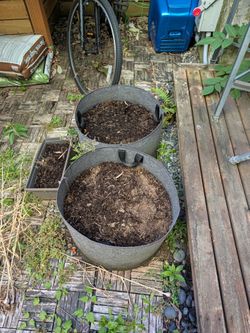 5 grow bags and soil amendment/compost