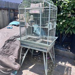 Bird Cage Iron 