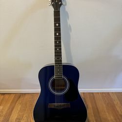 Randy Jackson Acoustic Guitar - Blue (no bag) 