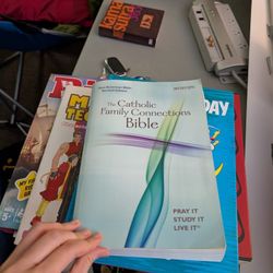 Bible With Summaries