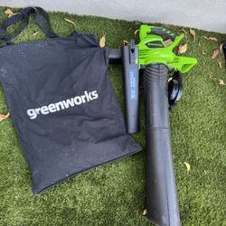 Greenworks Electric Combined Leaf Blower And Vacuum