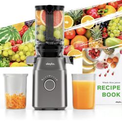 Juicer Machines, Cold Press Juicer for Fruit and Vegetable, Masticating Machine with Juice Recipe, Self Feeding Effortless for Batch Juicing,Easy to C