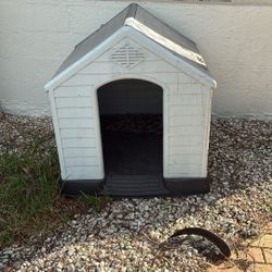Dog House 