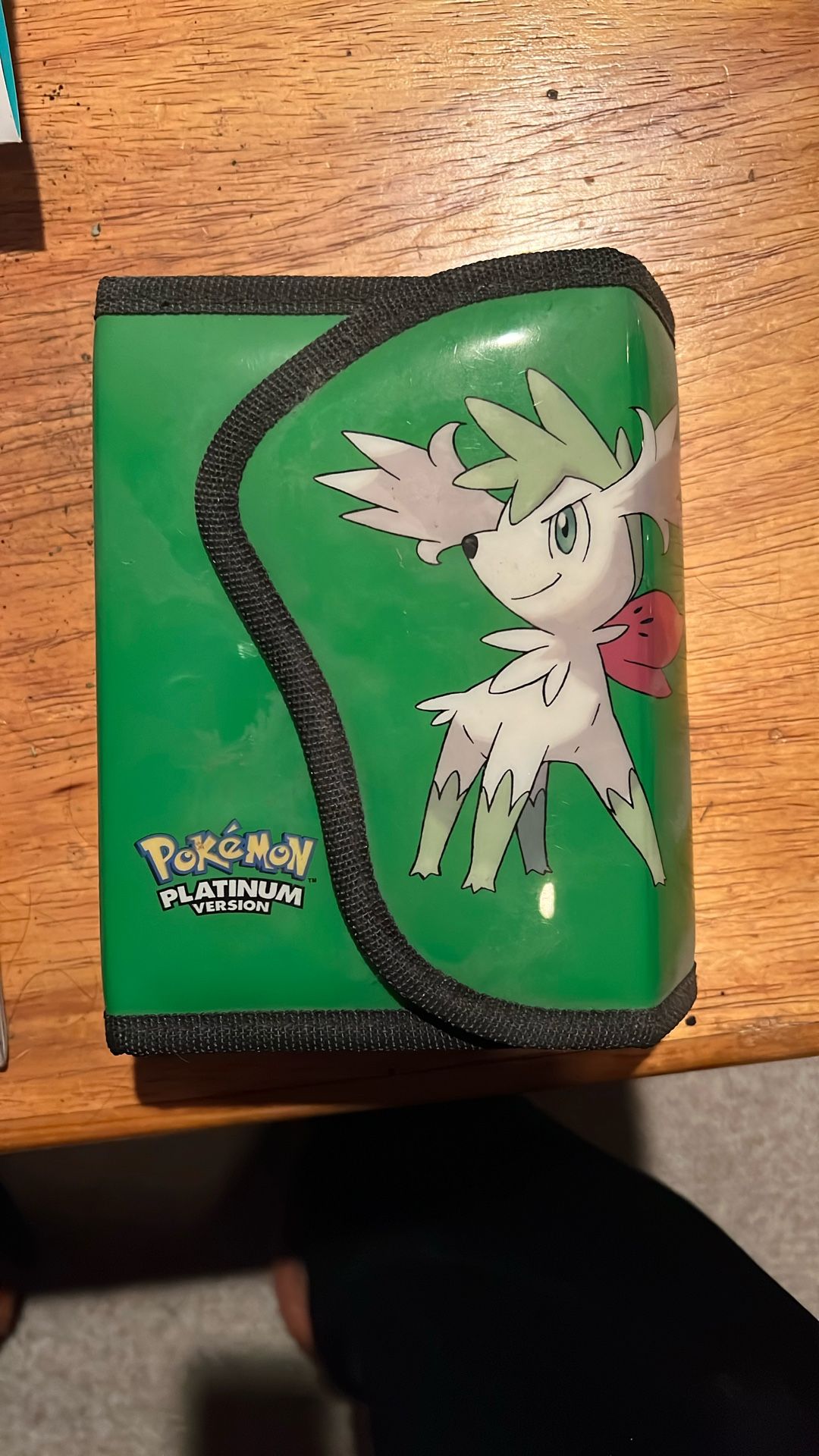 Pokémon Ds Holder 