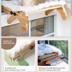 Cat Perch 