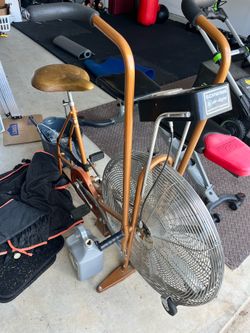 SCHWINN air dyne
