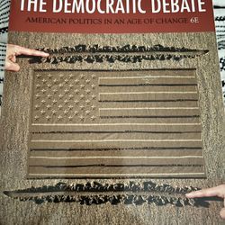 The Democratic Debate 6E