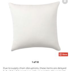 Pottery Barn Sunbrella Indoor/Outdoor Pillows