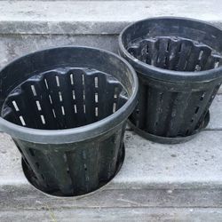 Lot 2 Ercole type Italian Air Prune 5L Garden Pots with Trays