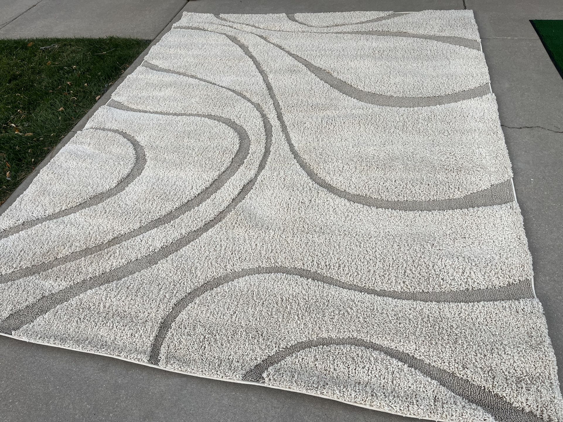 Large Shag Swirl Pattern Area Rug (7’10”x10’)