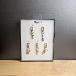 Charms 5 Pack 