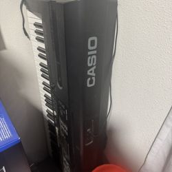 Casio WK-110 Keyboard (with Stand)