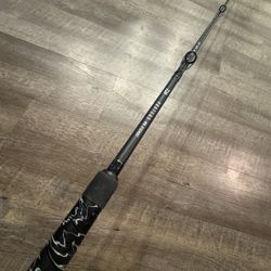 Like New Daiwa Proteus 8’10” MH Salt Water Fishing Rod. 