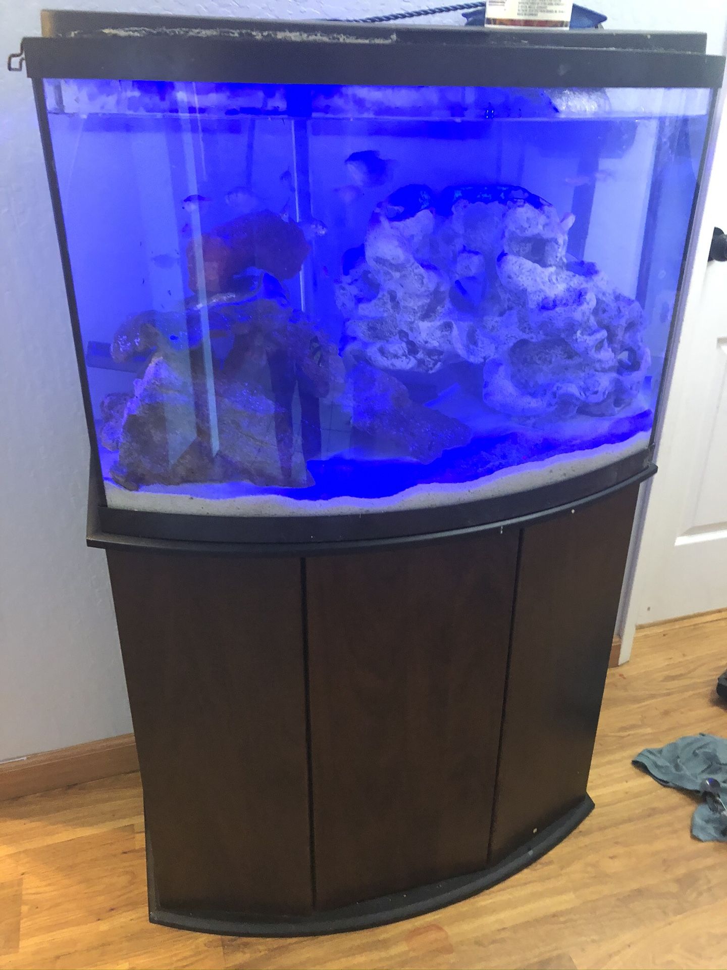 50 gallon aquarium bowed fish tank with stand