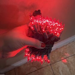 Mini Red Christmas Lights