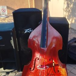 Double bass tololoche