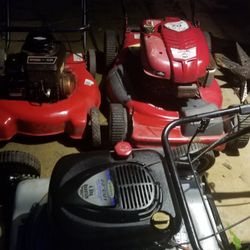 Mechanic Special Lawnmowers