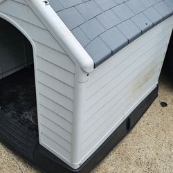 Dog House 
