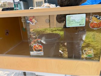 Reptile tank