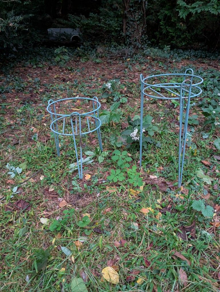 Garden Flower Display