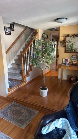 Artificial Threshold indoor tree (like new)
