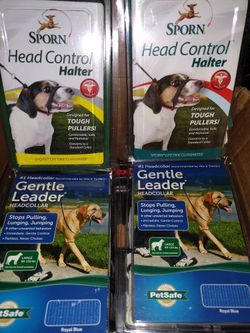 Dog Leashes, Collars, Dog Bowls, Dog Toothbrushes & Dog Apparel 