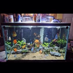 aquarium Fish Tank 150 Gallons 