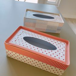 Tissue holder