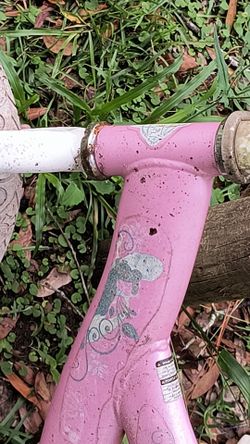 Toddler bike