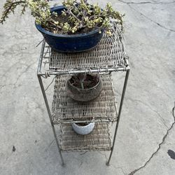 Plant stand  With Plants