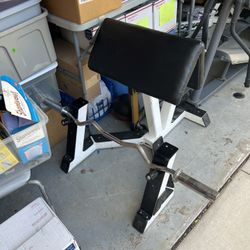 Commercial Preacher Curl Bench With Olympic Curl Bar